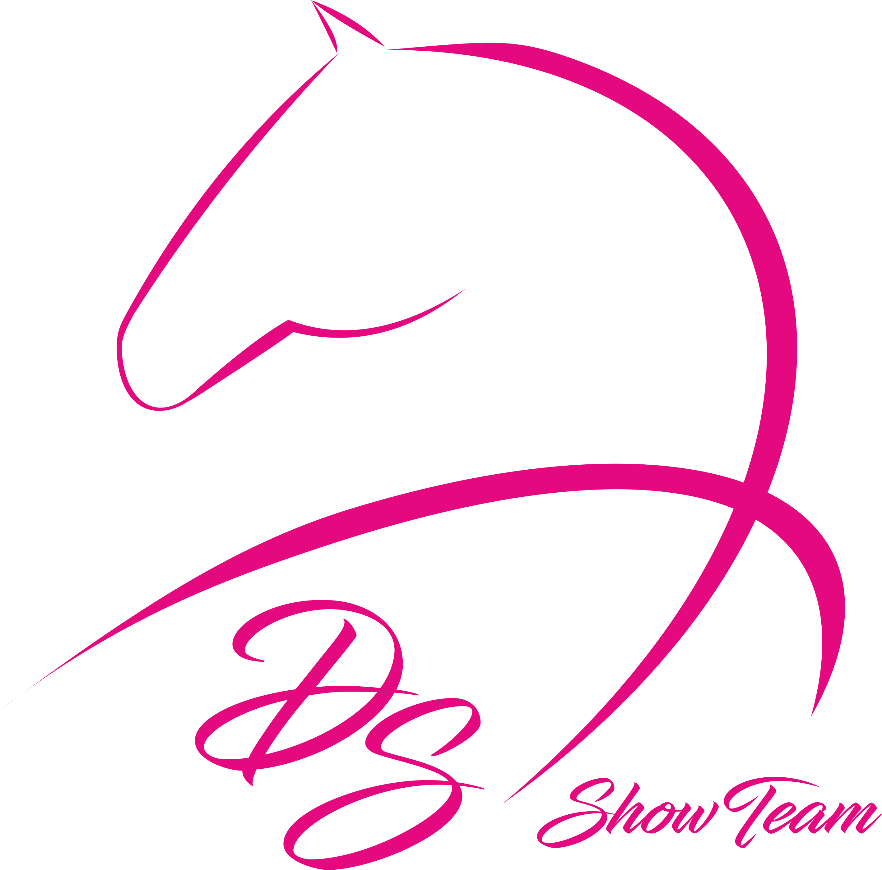 SHOWTEAM Logo